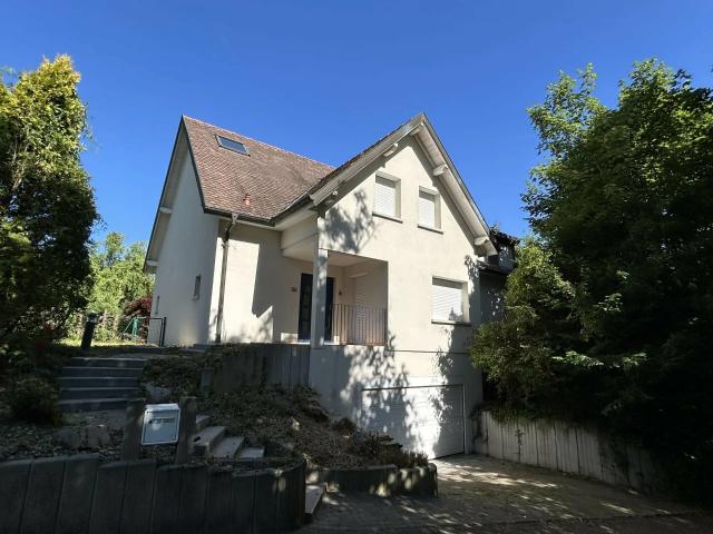 Maison vente à Mulhouse, Blotzheim