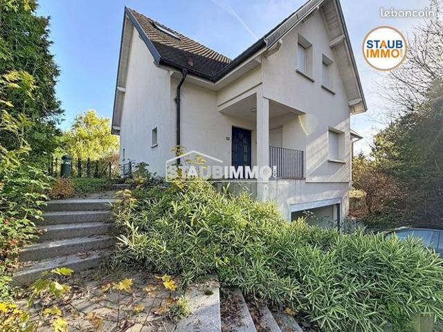 Maison vente à Mulhouse, Blotzheim