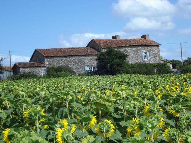 Maison vente à La Garnerie, Turgon