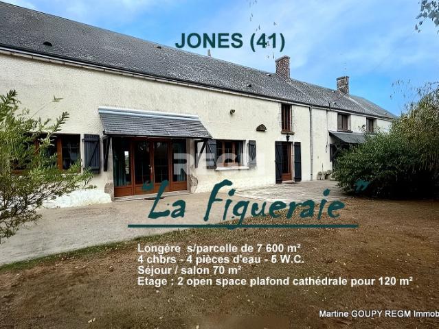 Maison vente à Blois, Josnes