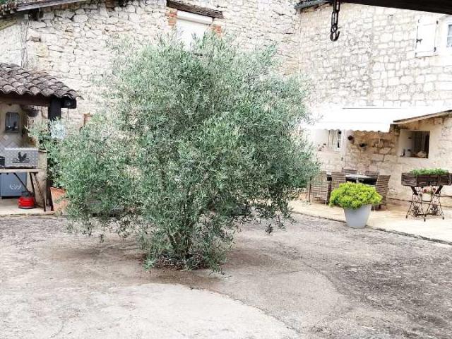 Maison vente à Albi, Cahuzac-sur-vère