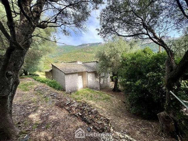 Villa vente à Bastia, Brando