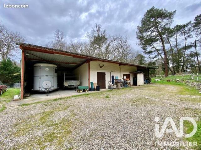 Maison vente à Nérac, Ambrus