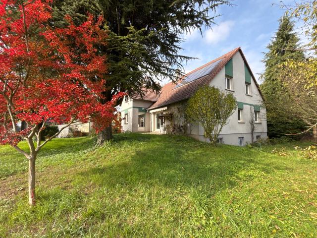 Maison vente à Saverne, Berstett