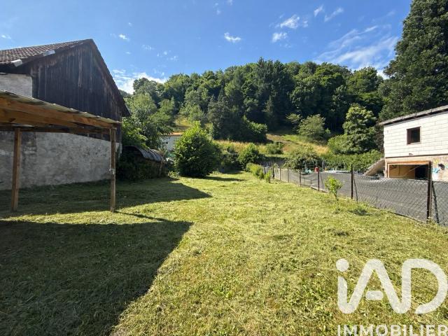 Maison vente à Colmar-Ribeauvillé, Sainte-marie-aux-mines