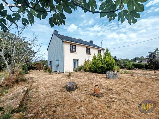 Maison vente à Châteaubriant-Ancenis, Blain