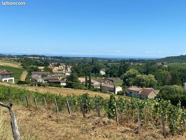 Maison vente à Mâcon, Davayé