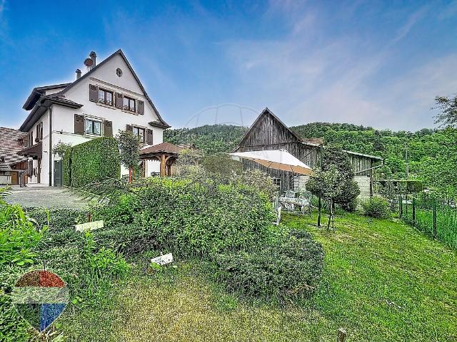 Maison vente à Colmar-Ribeauvillé, Stosswihr