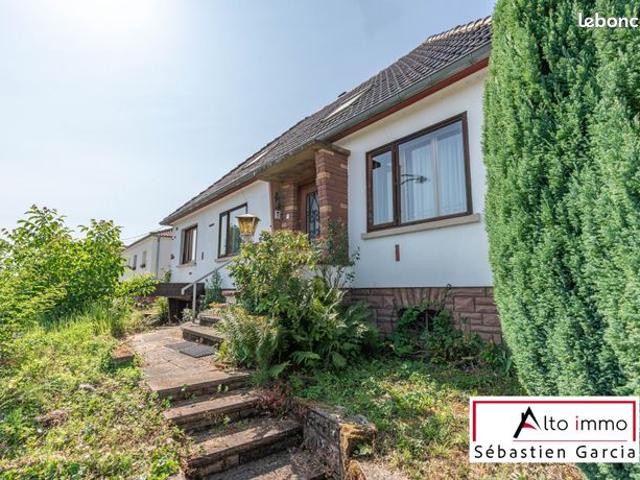 Maison vente à Haguenau-Wissembourg, Soultz-sous-forêts