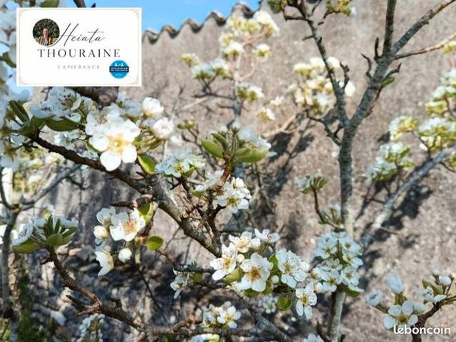 Maison vente à Niort, Nanteuil