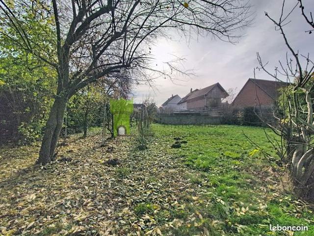 Maison vente à Molsheim, Altorf