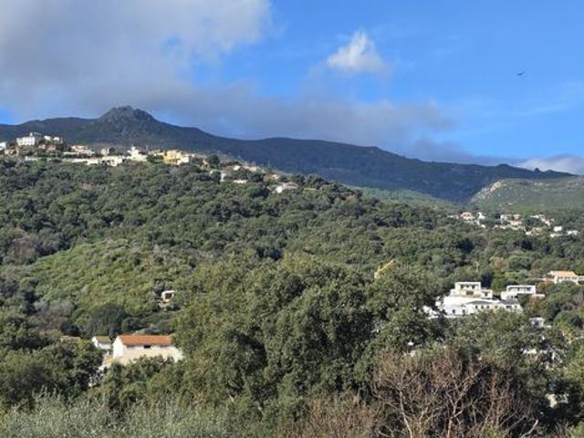 Maison vente à Bastia, Borgo