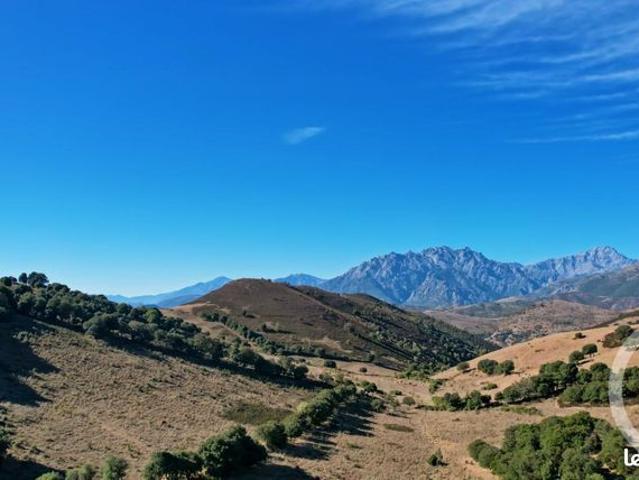Maison vente à Calvi, Pietralba