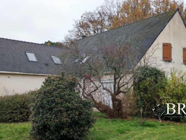 Maison vente à Tours, Saint-avertin