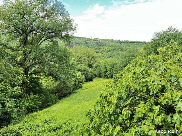 Maison vente à Cardaillac, Lot