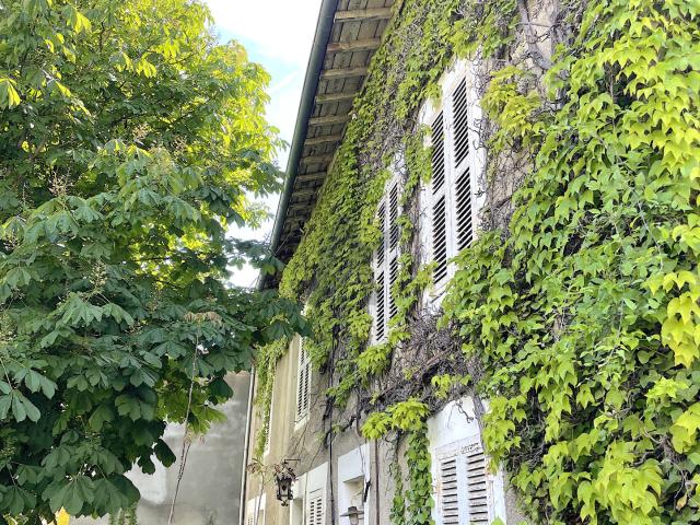 Maison vente à Bourg-en-Bresse, Châtillon-la-palud