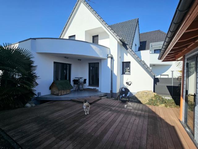Maison vente à Colmar-Ribeauvillé, Blodelsheim