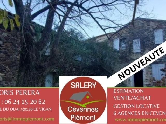 Maison vente à Le Vigan, Valleraugue