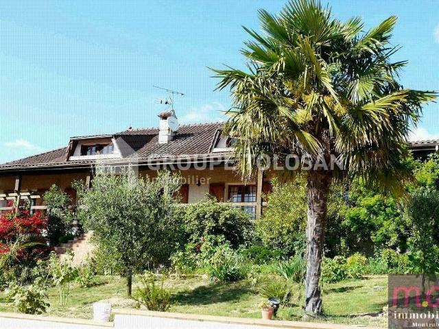 Maison vente à France métropolitaine, Montrabé