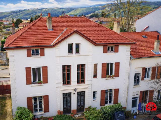 Maison vente à Ville, Condrieu