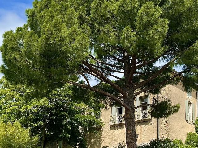 Maison vente à Béziers, Neffiès
