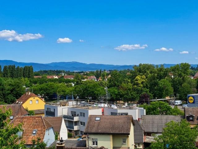 Maison vente à Mulhouse