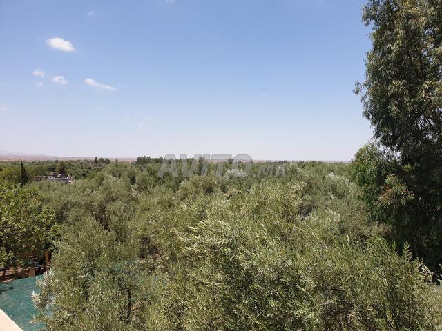 Maison vente à Al Haouz, L'Oriental
