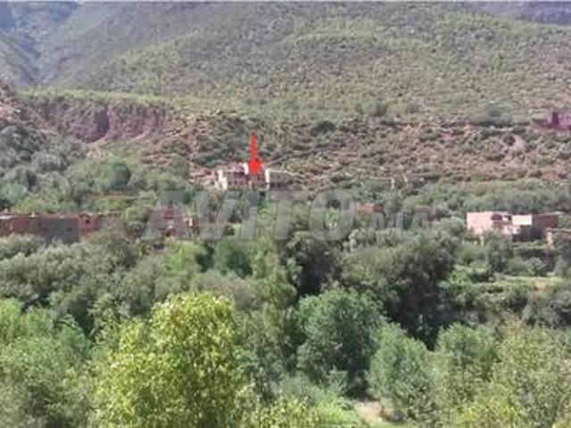 Maison vente à Al Haouz, L'Oriental