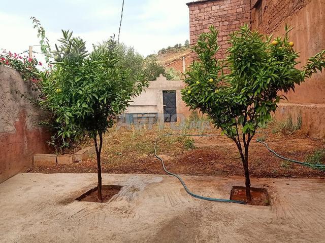 Maison vente à Ouarzazate