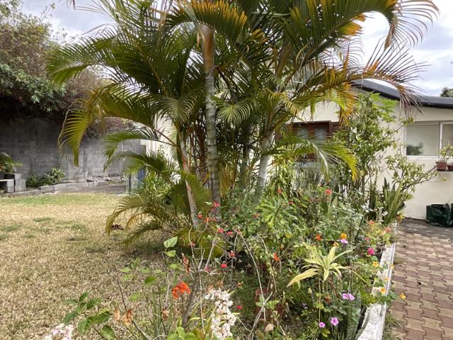Maison vente à La Réunion