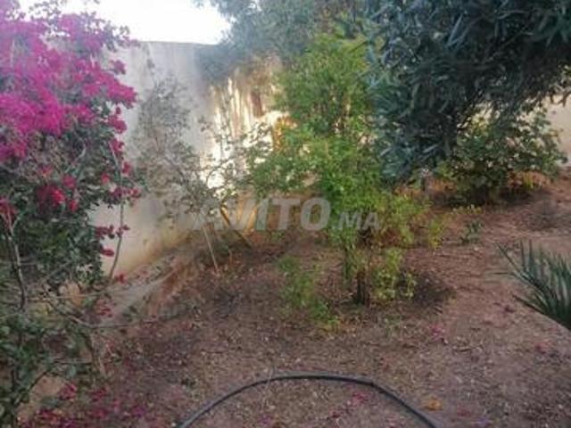 Maison location à Essaouira, L'Oriental