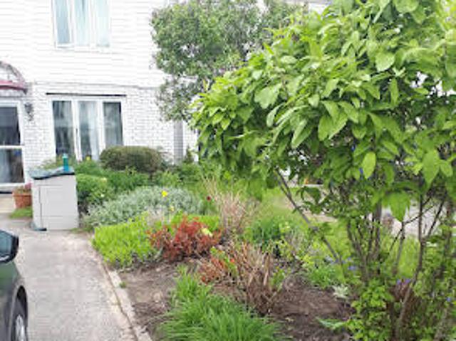 House for rent in Gatineau, Quebec
