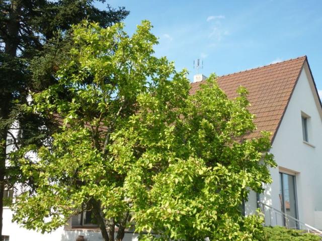 Maison location à Dijon, Longvic