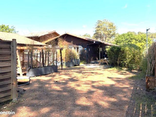 Maison location à Lesparre-Médoc, Lacanau