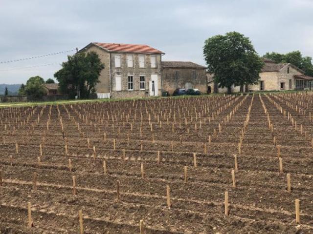 Maison location à Langon, Portets