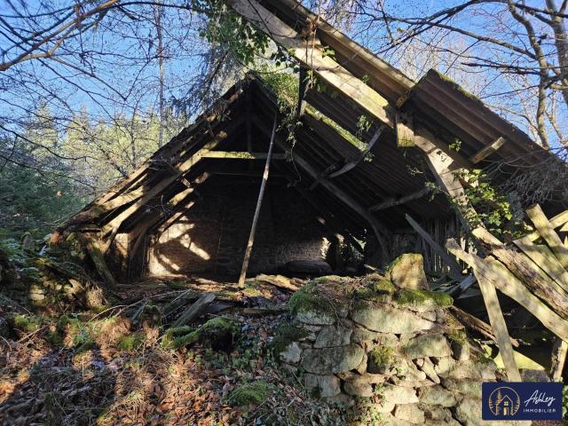 Maison vente à Ussel, Ambrugeat