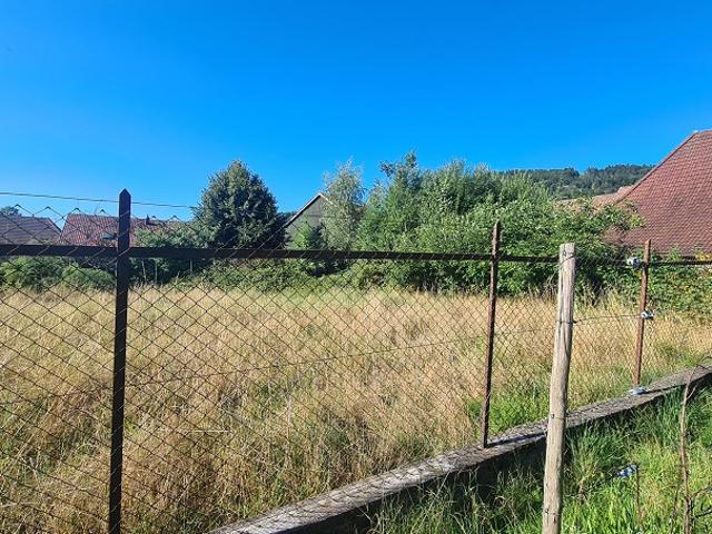 Maison vente à Kruth, Collectivité européenne d'Alsace