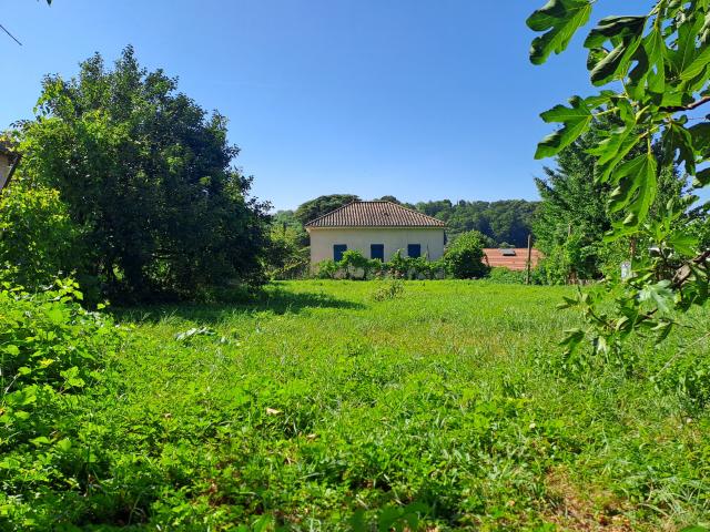 Maison vente à Lyon, Métropole de Lyon