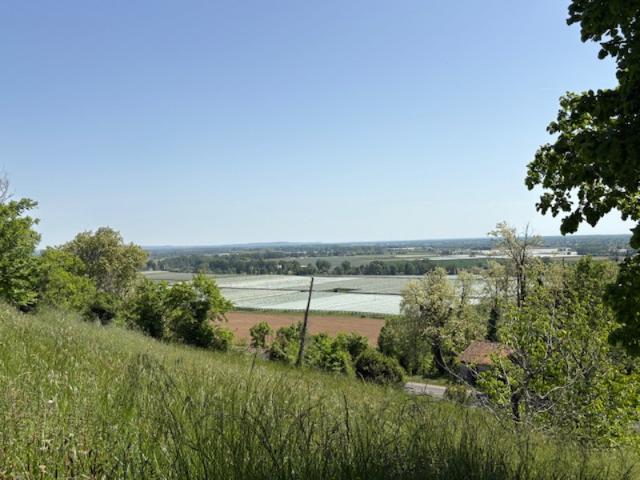 Maison vente à Montauban, Piquecos