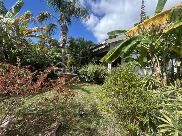 Maison vente à La Réunion
