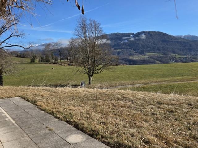 Einfamilienhaus kaufen in Jongny, Waadt