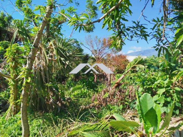 Maison vente à La Réunion