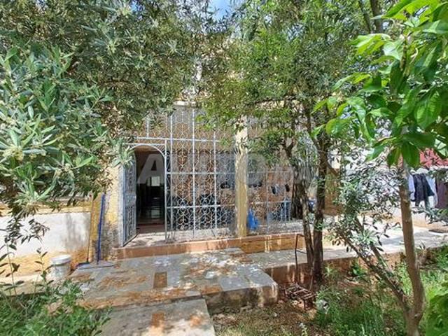 Maison vente à Séfrou