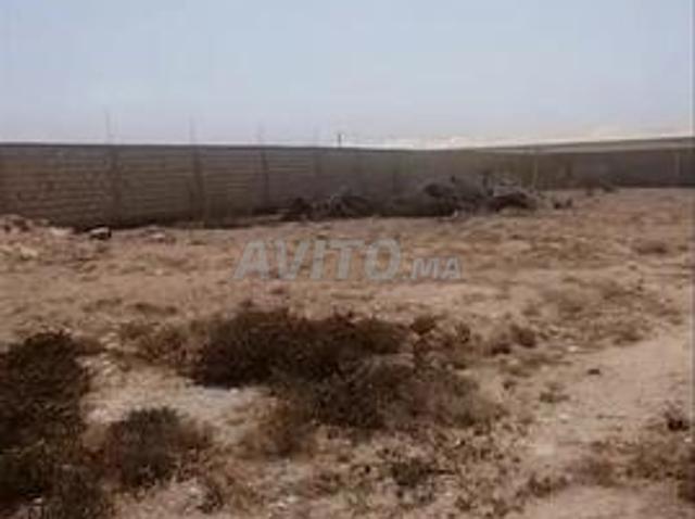 Maison vente à Oued ed Dahab-Lagouira