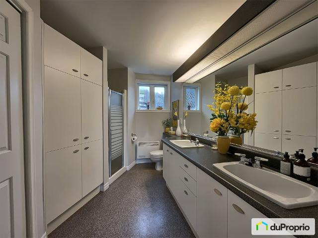 House for sale in Vanier