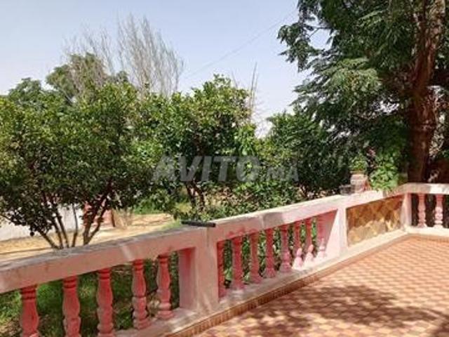 Propriété vente à Chichaoua, L'Oriental