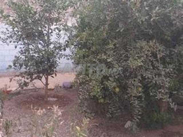 Maison vente à Sidi Bidi, Oued ed Dahab-Lagouira