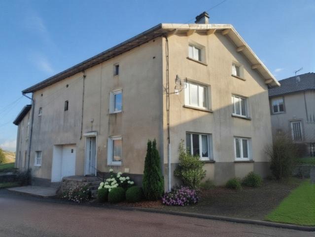 Maison vente à Neufchâteau, Dompaire