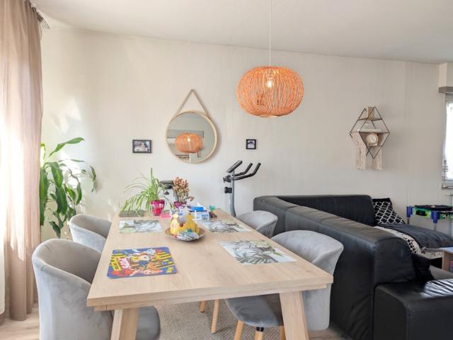 Maison vente à Mulhouse, Blotzheim