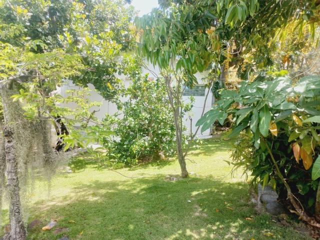 Maison vente à Guadeloupe